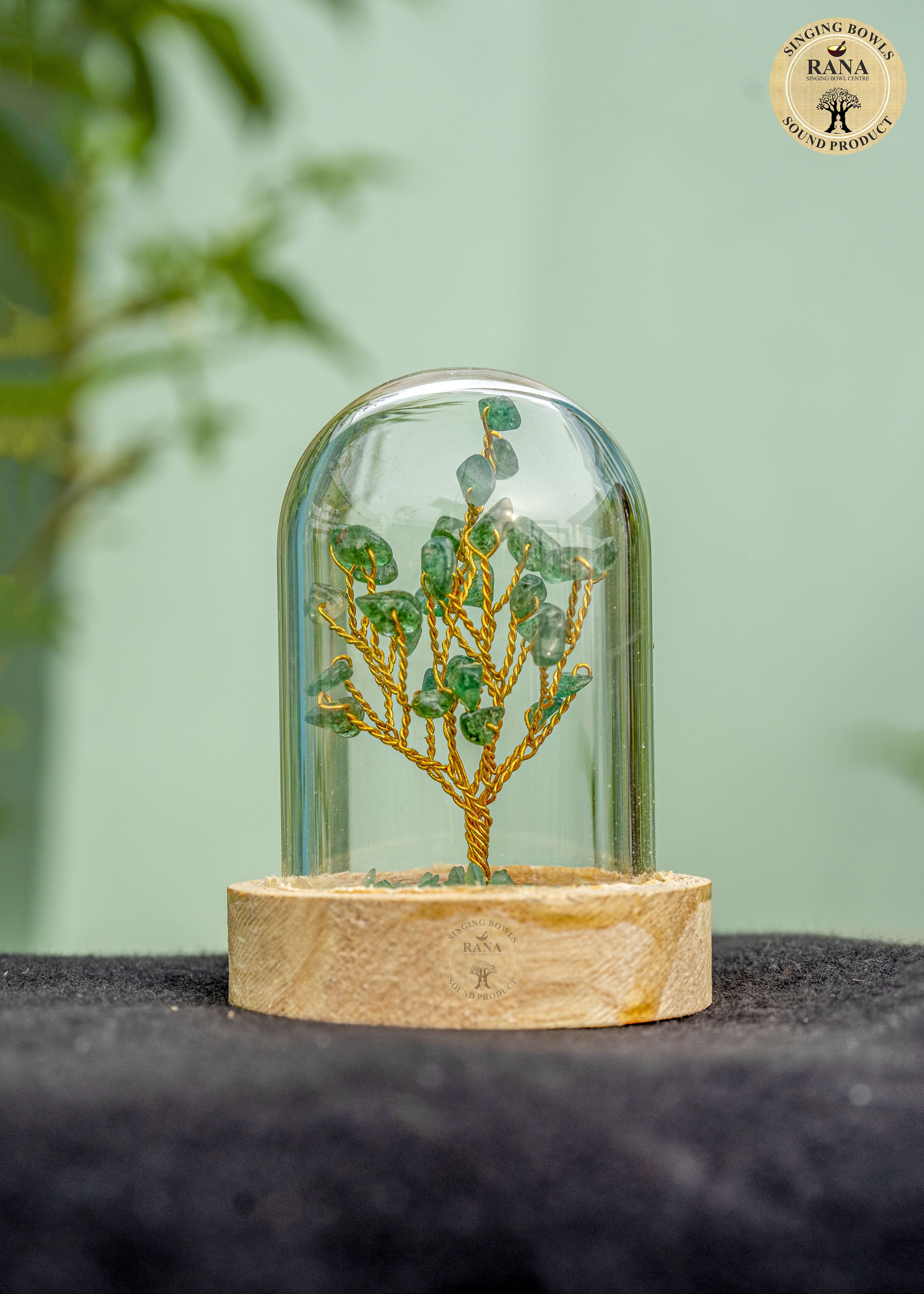 Green Aventurine Gemstone Tree Under Glass Dome with Wooden Base