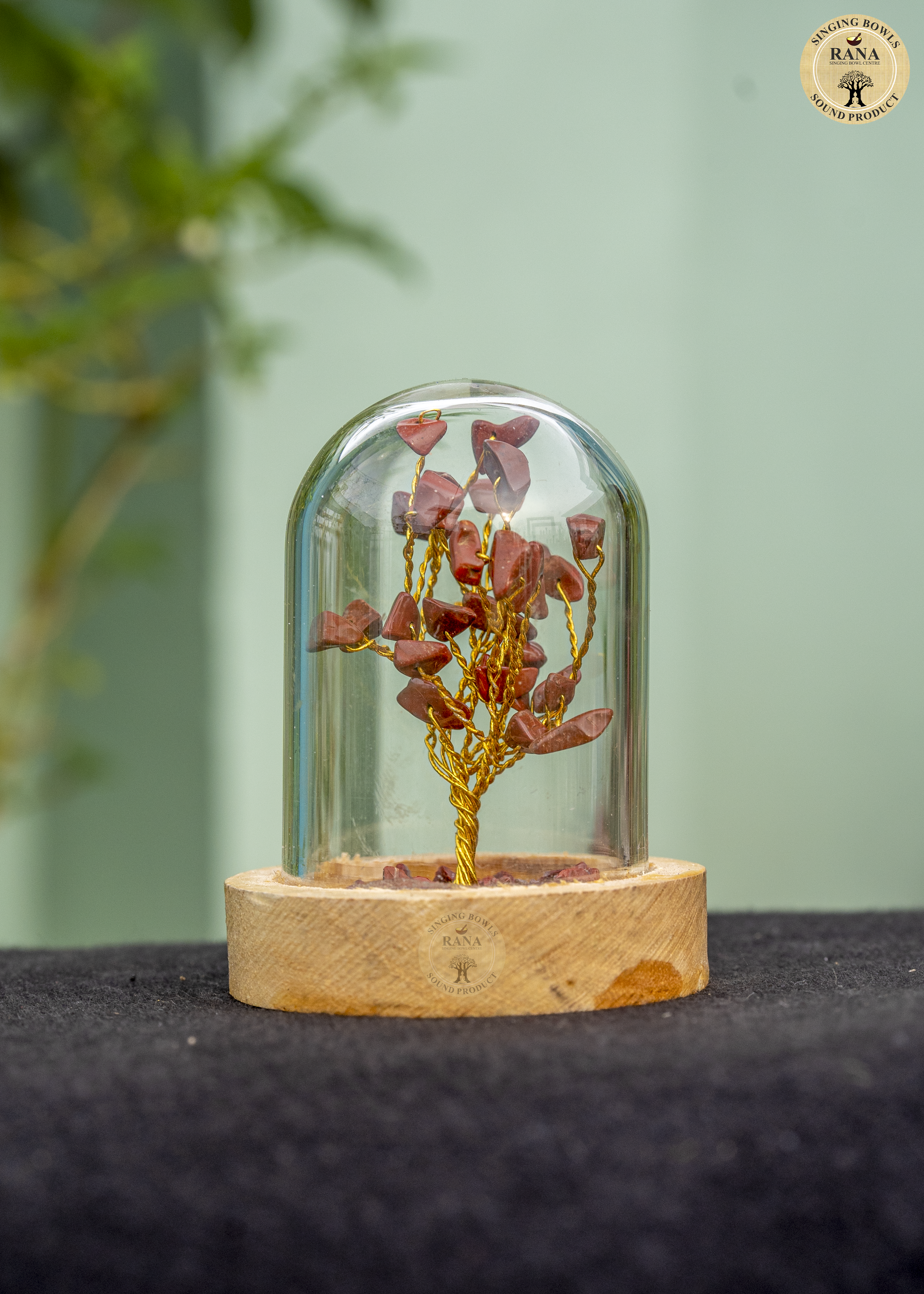 Red Jasper Gemstone Tree Under Glass Dome with Wooden Base
