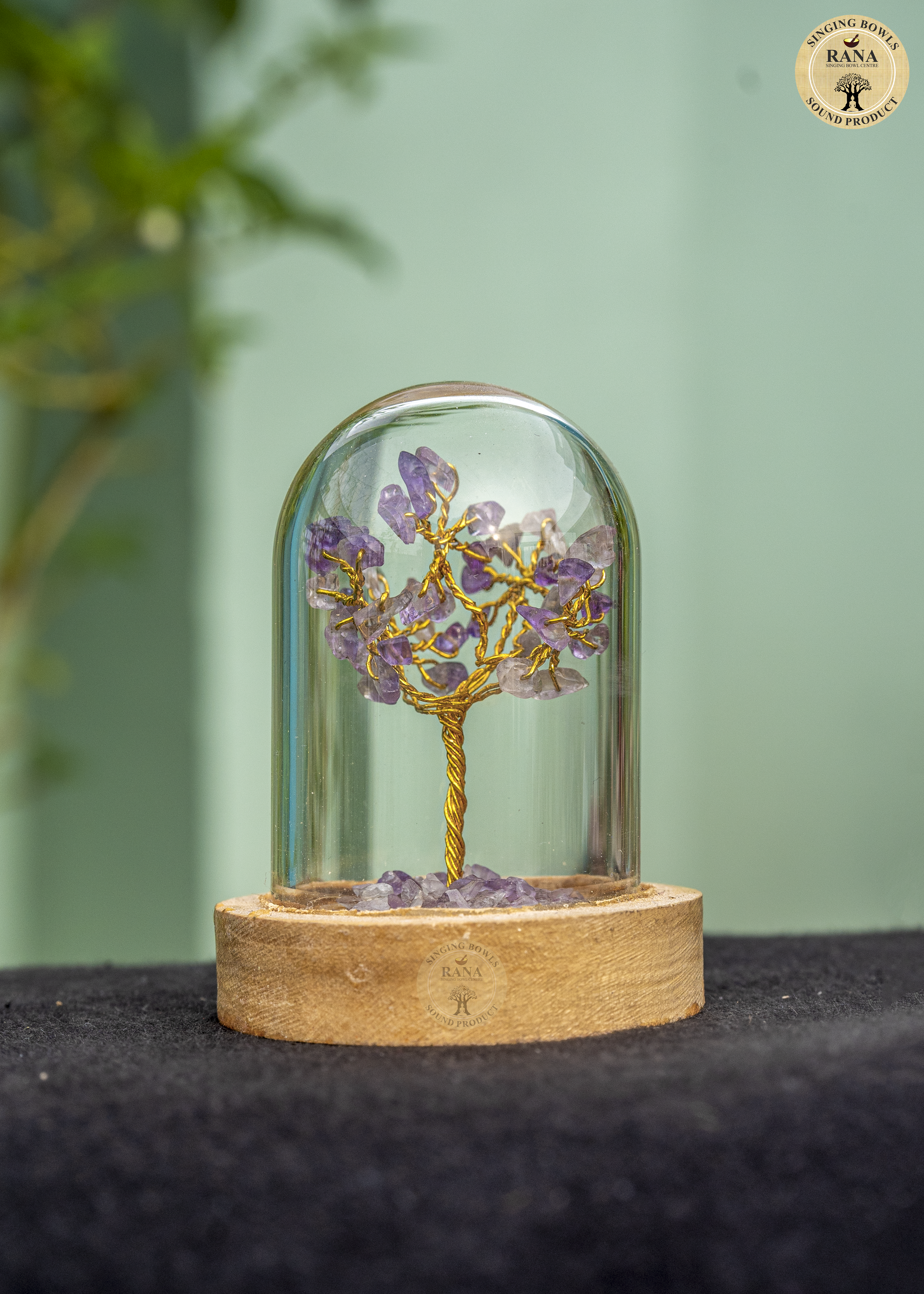 Amethyst Gemstone Tree Under Glass Dome with Wooden Base