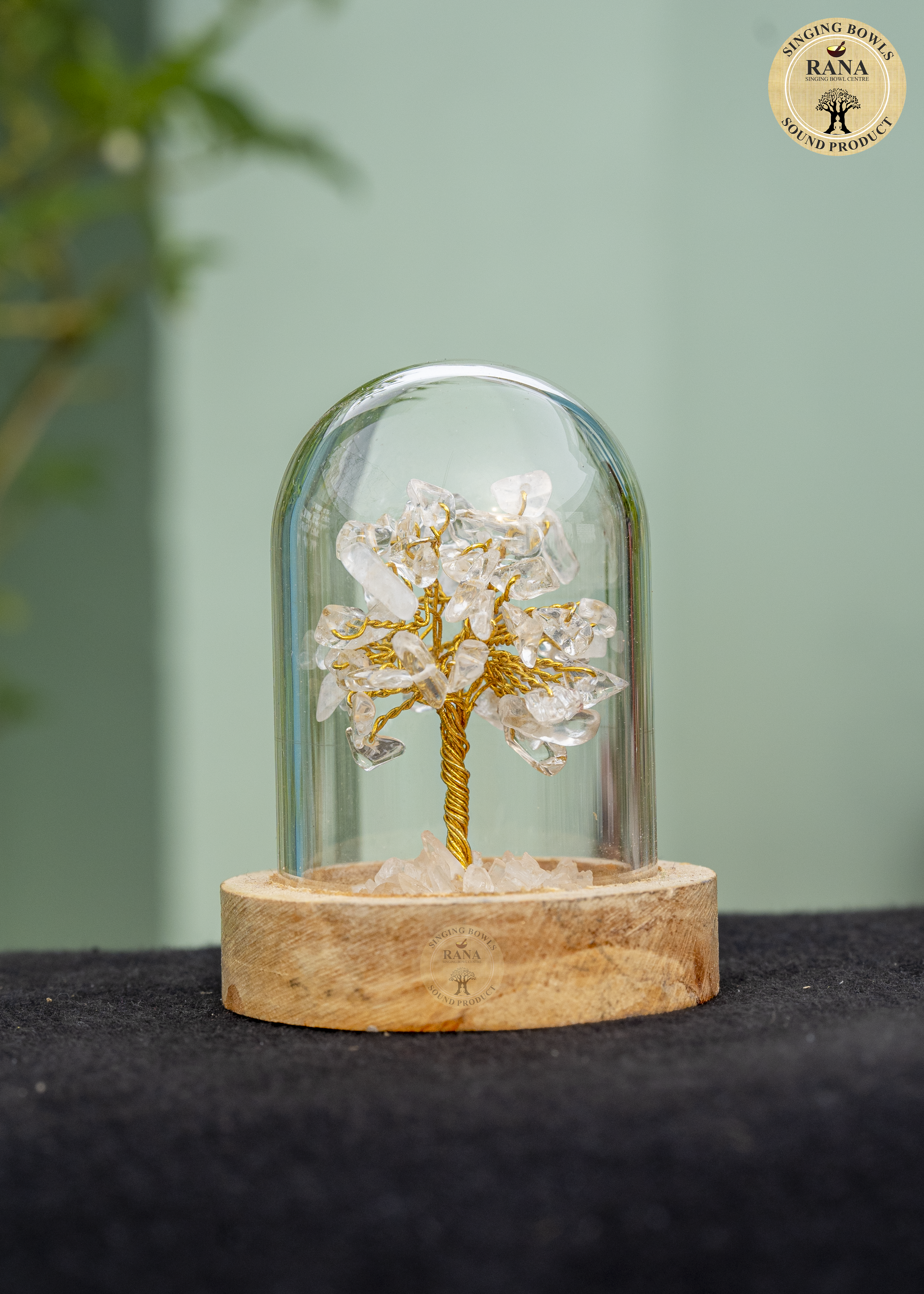 Clear Quartz Gemstone Tree Under Glass Dome with Wooden Base