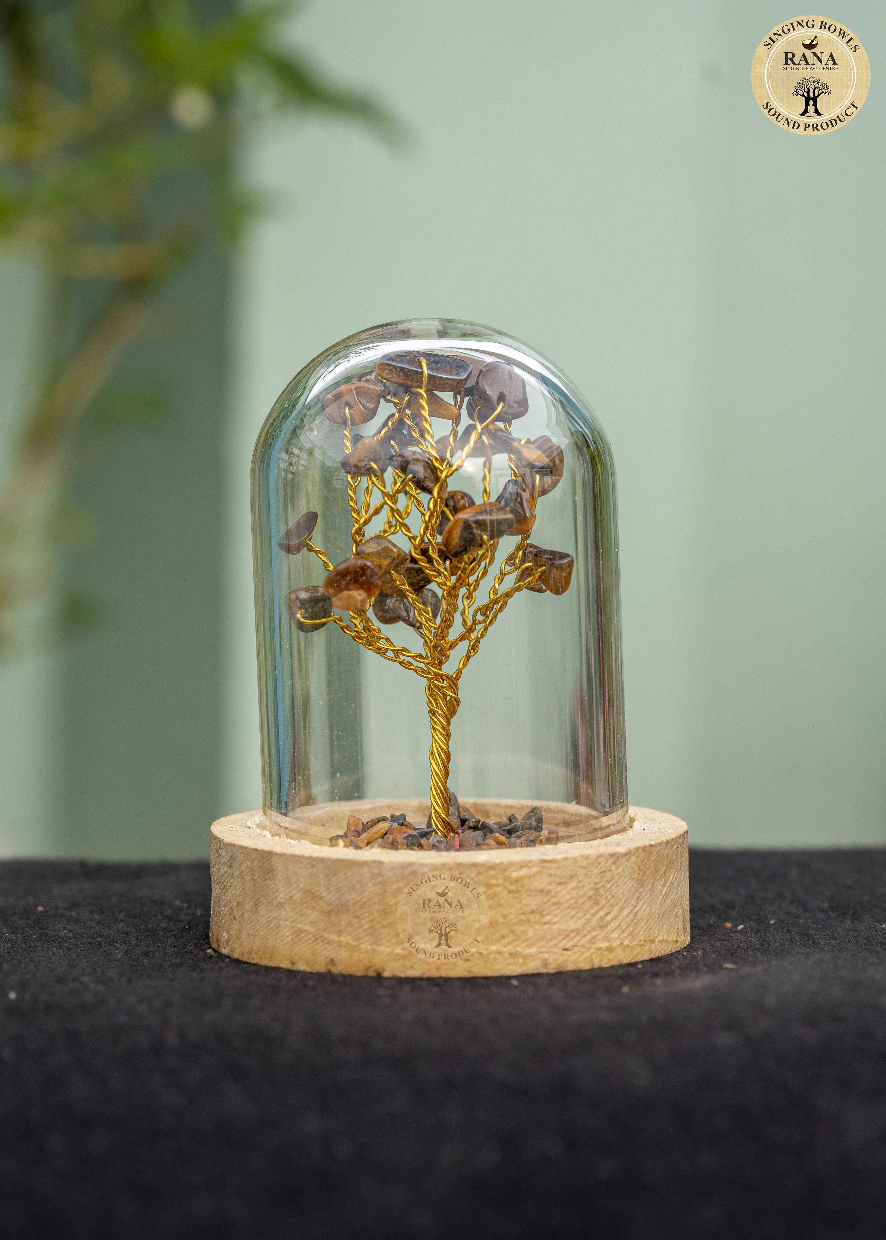 Tiger Eye Gemstone Tree Under Glass Dome with Wooden Base